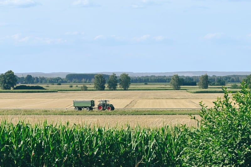 Bâche remorque sur mesure : la protection qui tient enfin la route