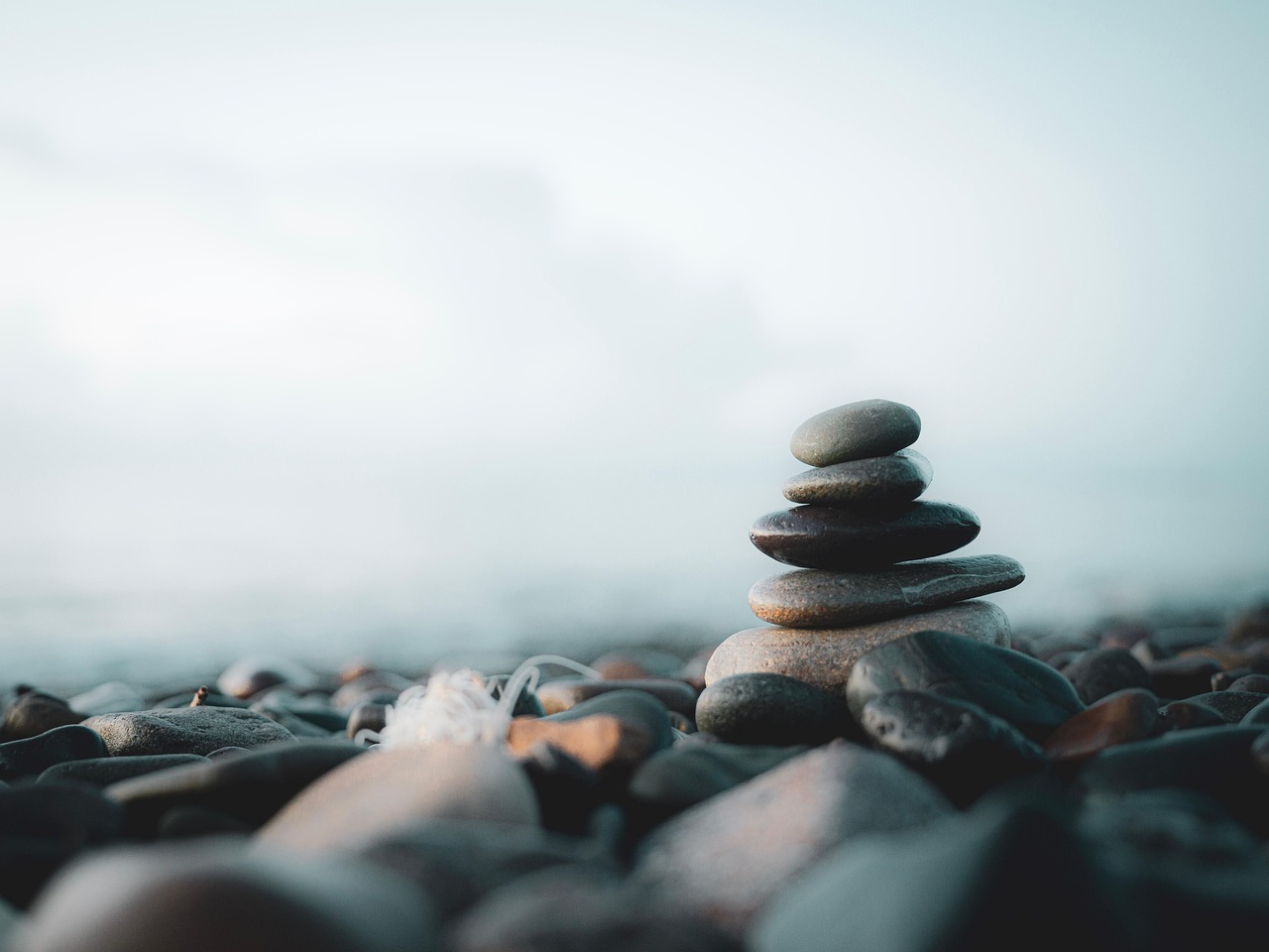 Comment créer un jardin zen apaisant avec des éléments naturels