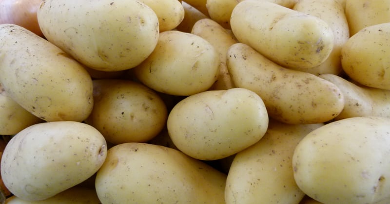 Pomme de terre entière airfryer : croustillante dehors, fondante dedans