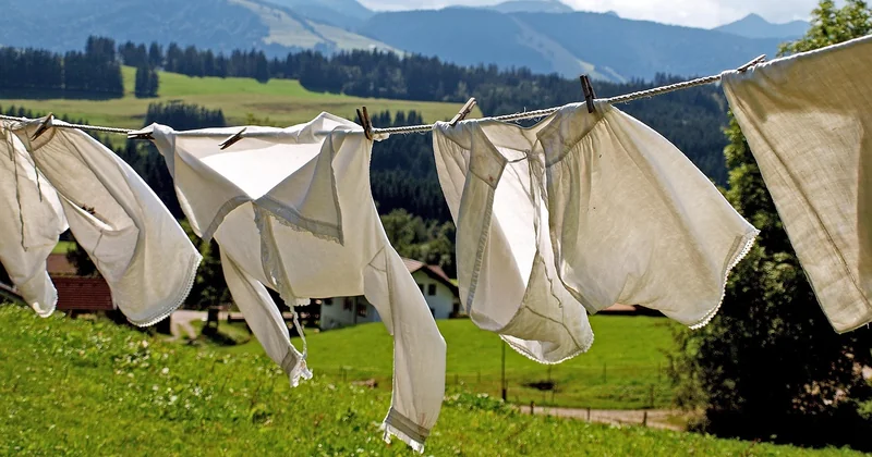 Quelles sont les marques de lave-linge les plus fiables ?