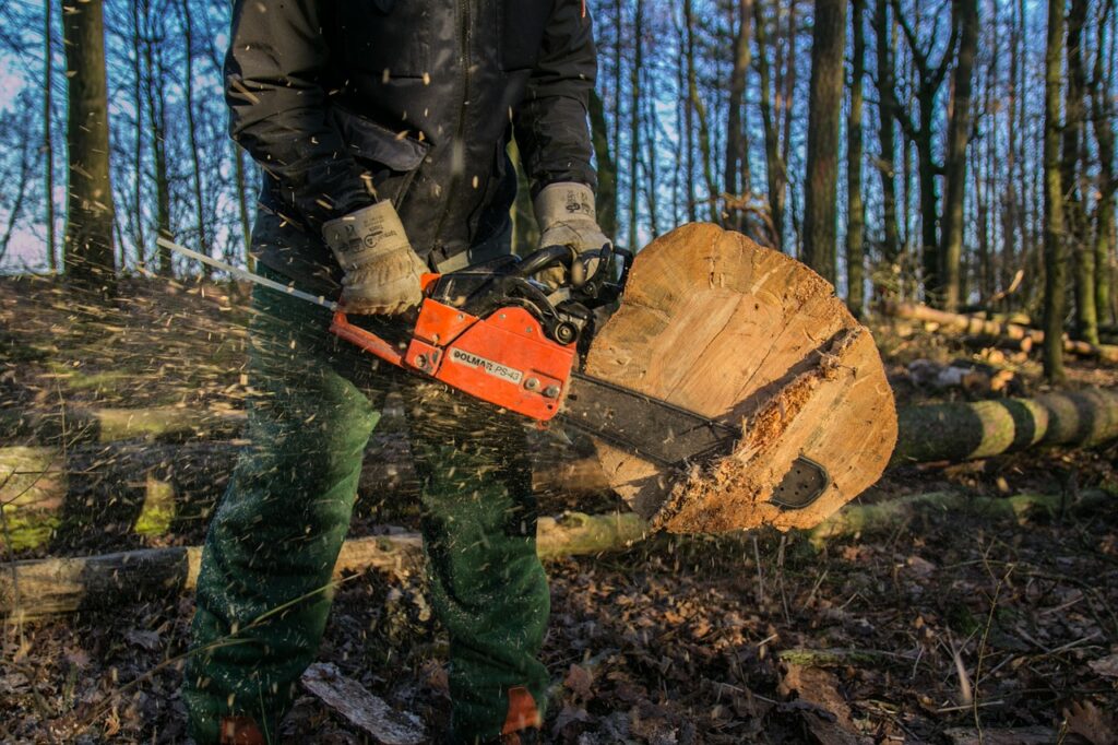 scie &agrave; bois de haute qualit&eacute; pour des coupes pr&eacute;cises et efficaces. id&eacute;ale pour tous vos travaux de menuiserie et bricolage.